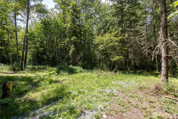 $596,000 | 328-xx 16th Avenue South, Roy, WA 98580