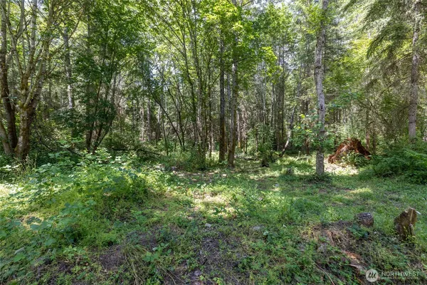 $596,000 | 328-xx 16th Avenue South, Roy, WA 98580