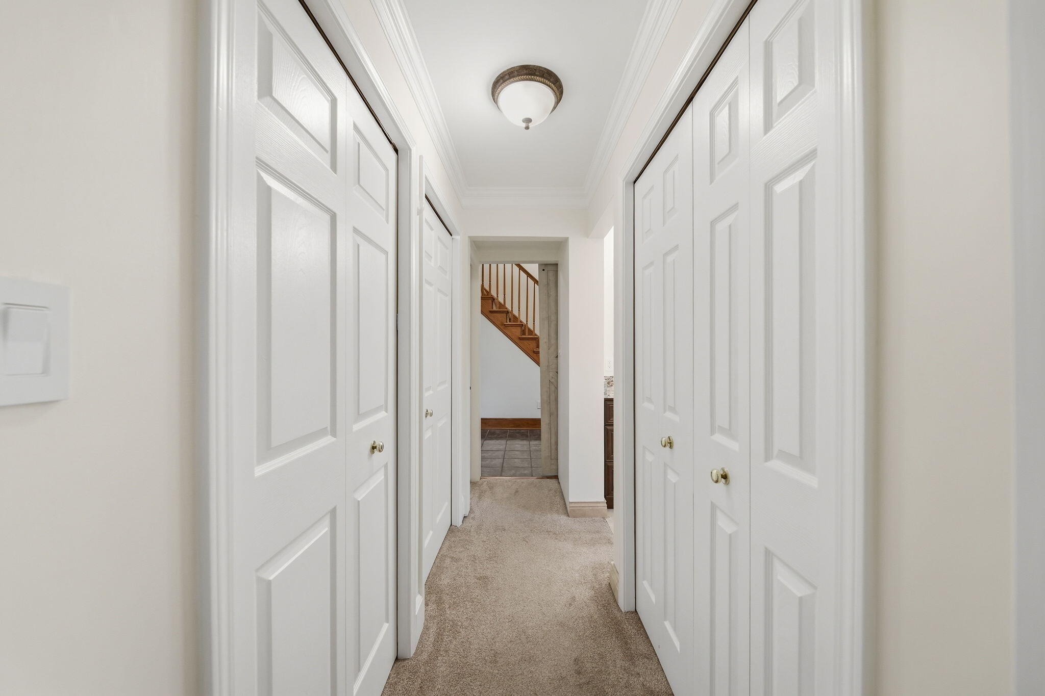 8866 Crane Road Milan, MI 48160 - Photo 22 of 77 29-web-or-mls-DSC09456
