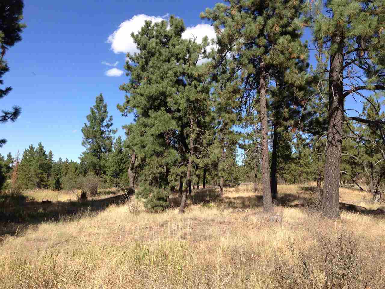 74 West Greenwood Road Spokane, WA 99224 - Photo 3 of 8 Gallery Image 3
