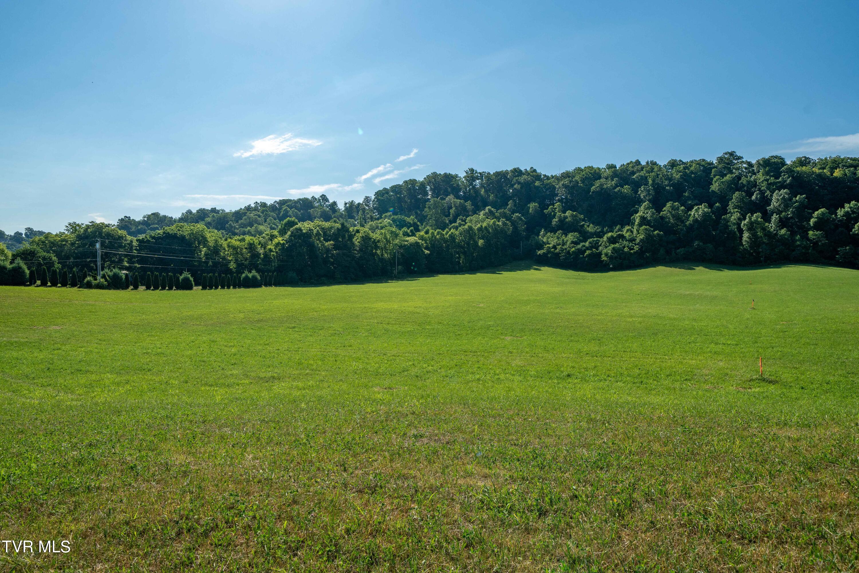 Tbd Carroll Creek Road Johnson City, TN 37604 - Photo 35 of 61 TBD Carroll Creek Rd. Gray, TN (36 of 62
