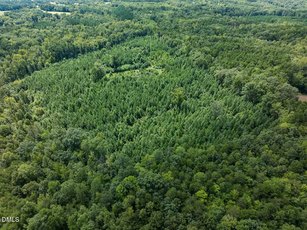 a view of dirt yard with trees