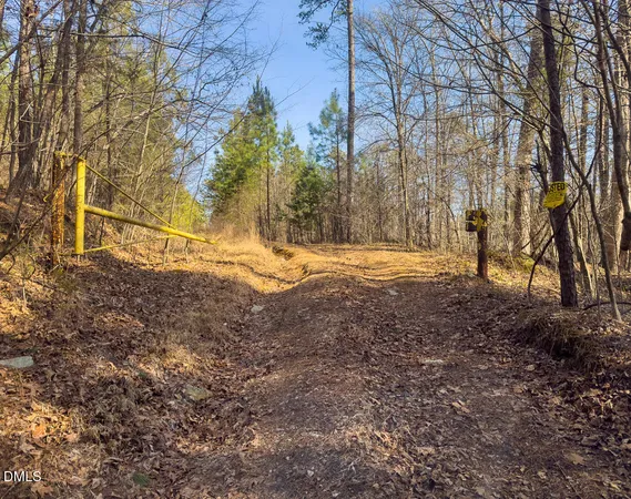 a view of a green field with lots of bushes