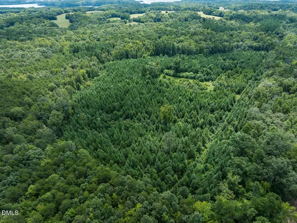 a view of a lush green space