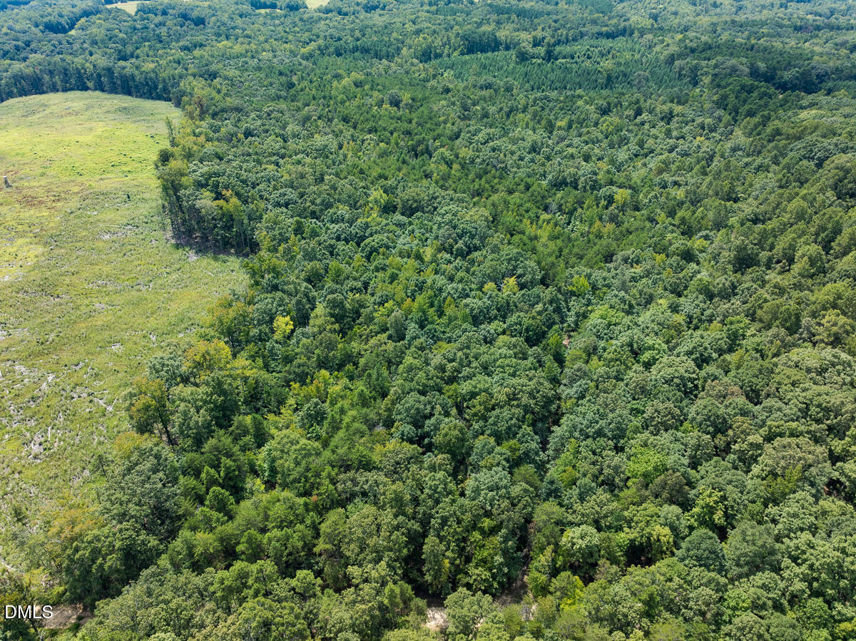 0 Scott Road Semora, NC 27343 - Photo 24 of 71 Person Co. NC 69.03-24