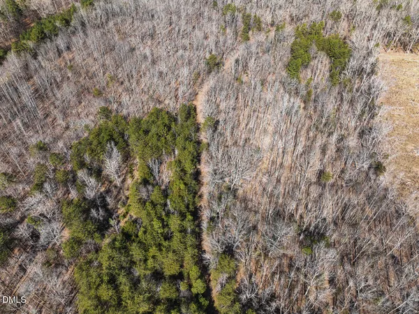 a view of a lush green field