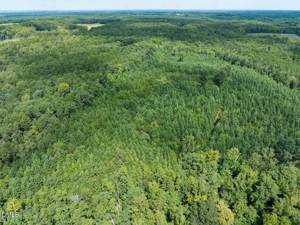 a view of a dry yard with wooden floor