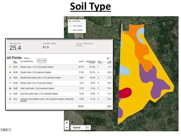 a view of a big yard with plants and large trees