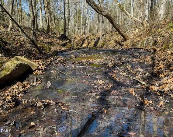 a view of a tree with a yard