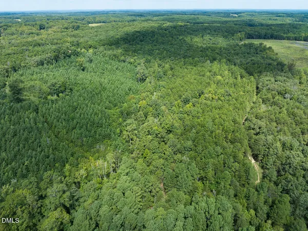 a view of a field with trees in the background