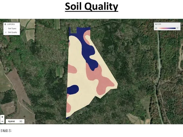 a view of a lush green forest with lots of trees