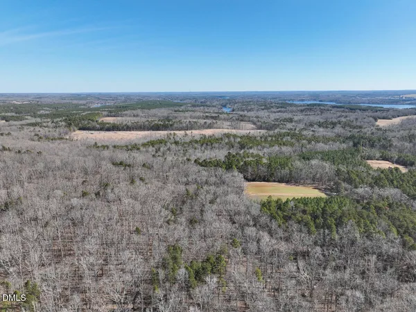 a view of backyard with green space