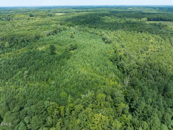 a view of a lush green field