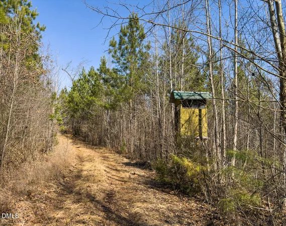 a view of a lush green space