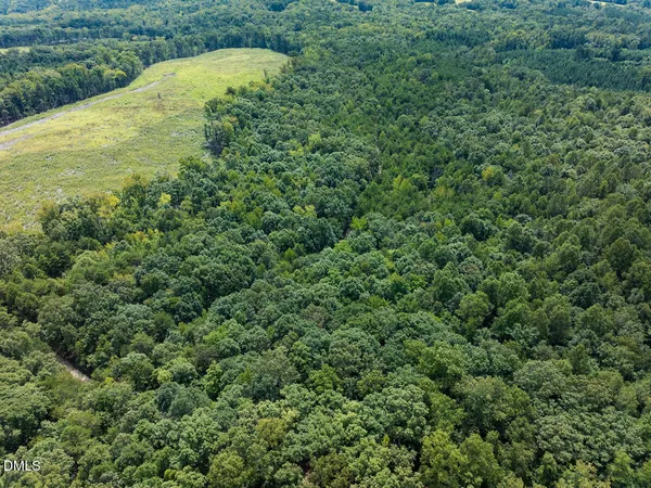 a view of a garden with a tree