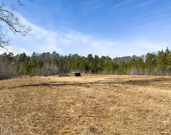 a view of a lush green space with a sink