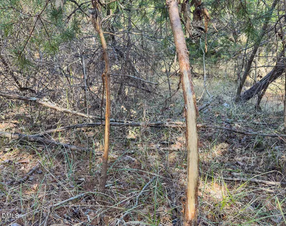 $299,900 | 0 Scott Road, Semora, NC 27343