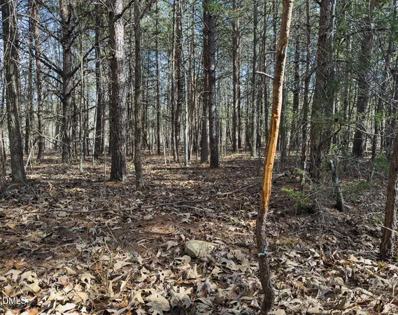 $299,900 | 0 Scott Road, Semora, NC 27343