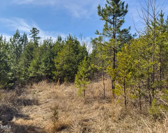 $299,900 | 0 Scott Road, Semora, NC 27343