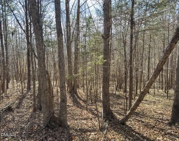 $299,900 | 0 Scott Road, Semora, NC 27343