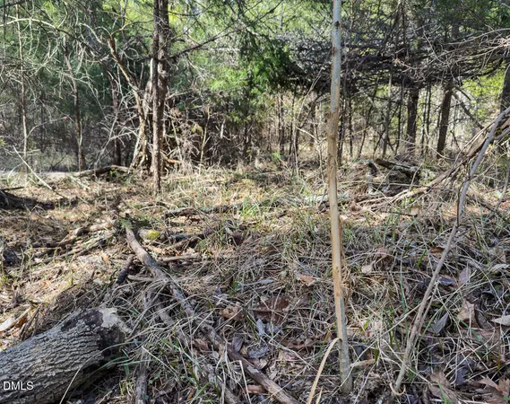 $299,900 | 0 Scott Road, Semora, NC 27343