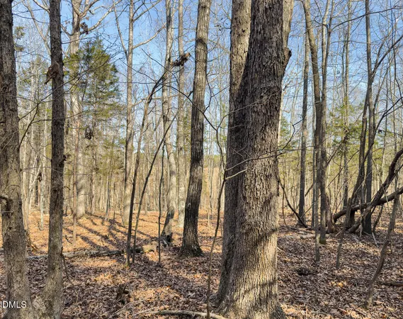 $299,900 | 0 Scott Road, Semora, NC 27343