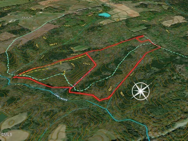 a view of a forest filled with trees