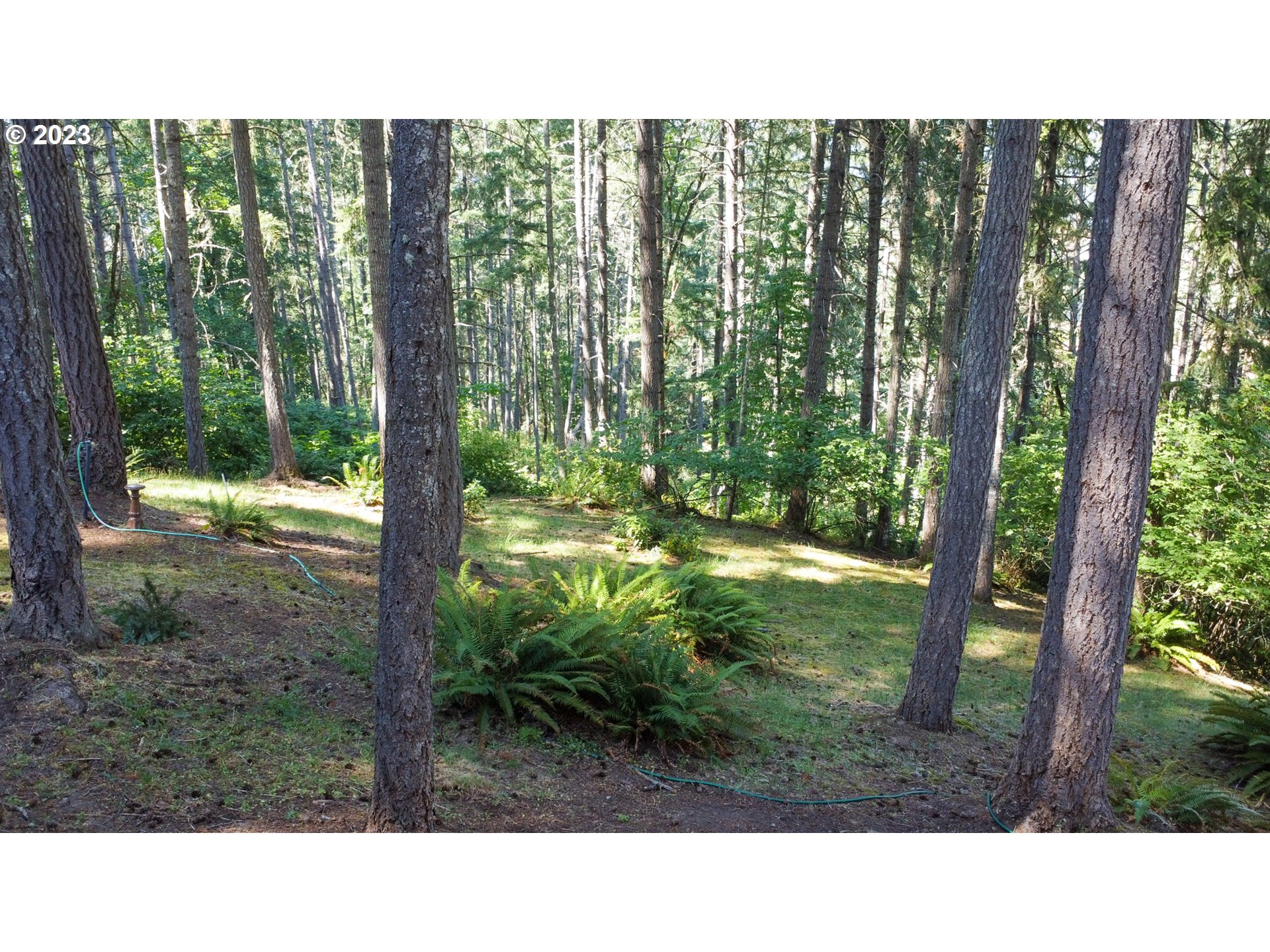1855 Ridge View Drive Sutherlin, OR 97479 - Photo 36 of 43 Gallery Image 36