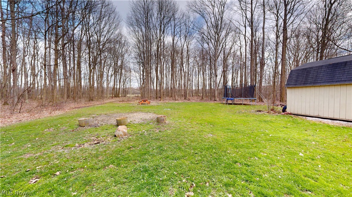 15548 Trask Road Thompson, OH 44086 - Photo 29 of 31 View of yard featuring a shed and a trampoline