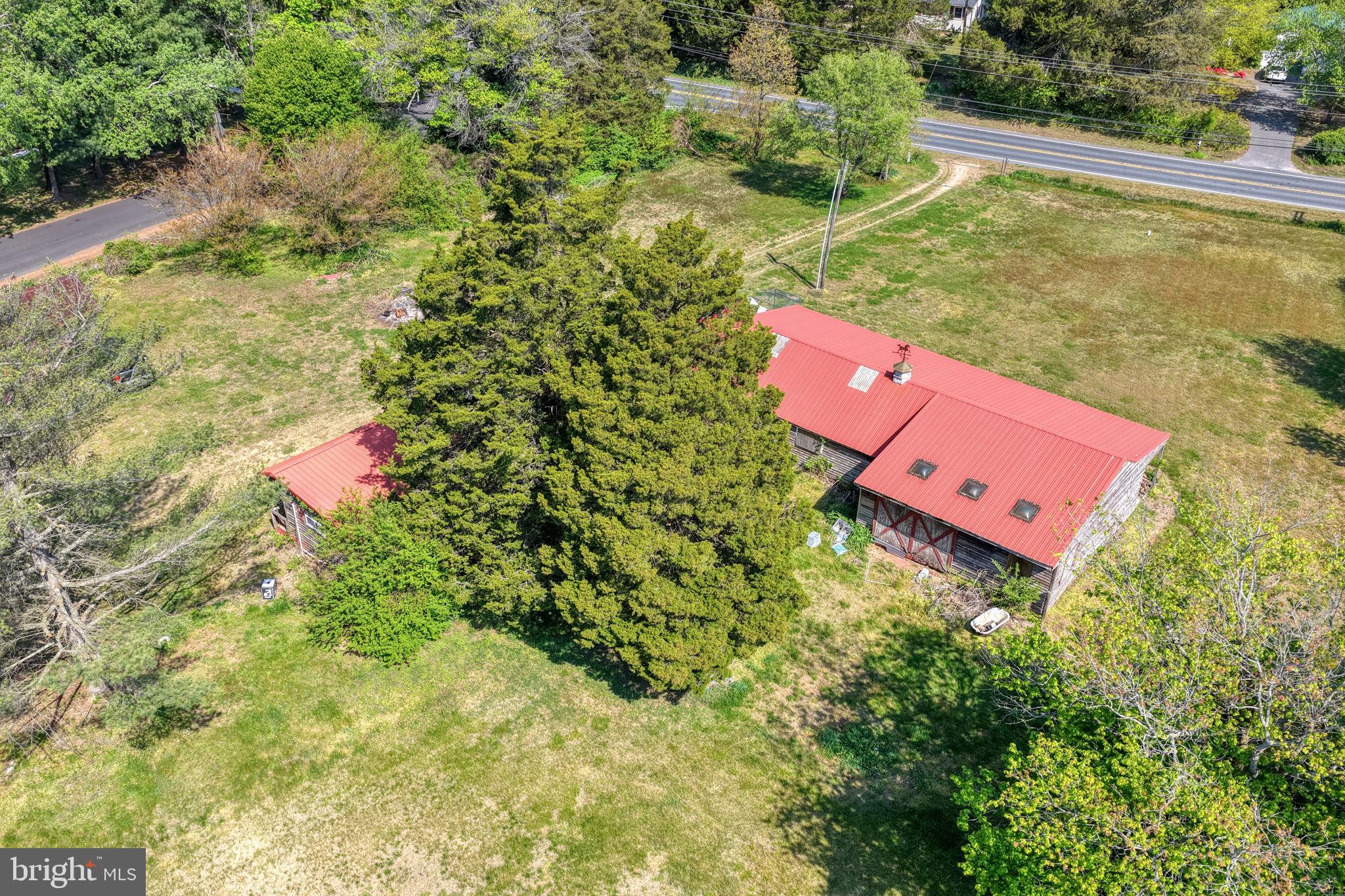 3448 Irish Hill Road Magnolia, DE 19962 - Photo 6 of 28 Charming homestead amidst lush greenery.