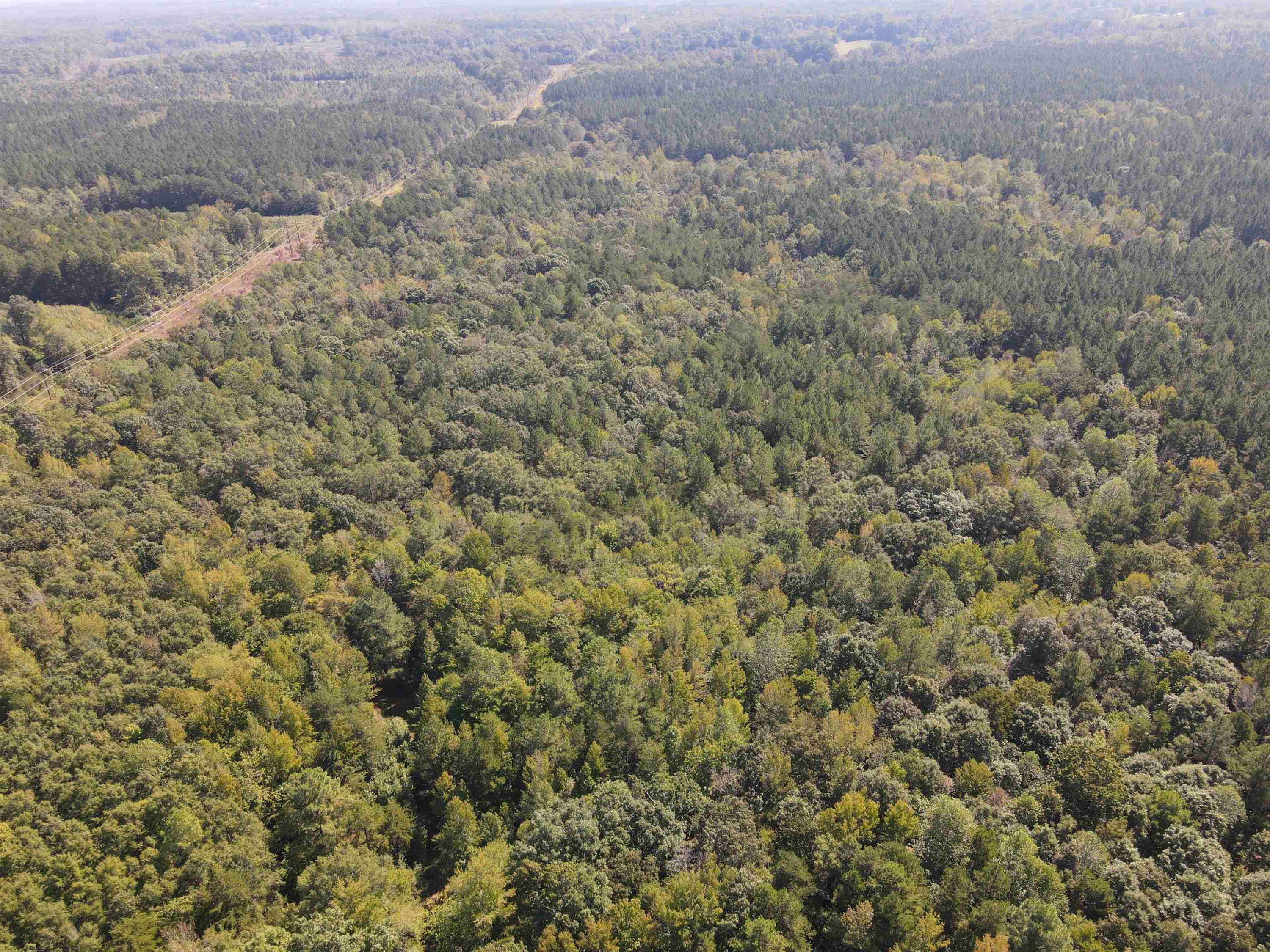 Noel Tuck Road Oxford, NC 27565 - Photo 25 of 34 Photo 25