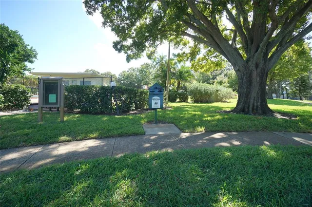 a view of a garden with a tree