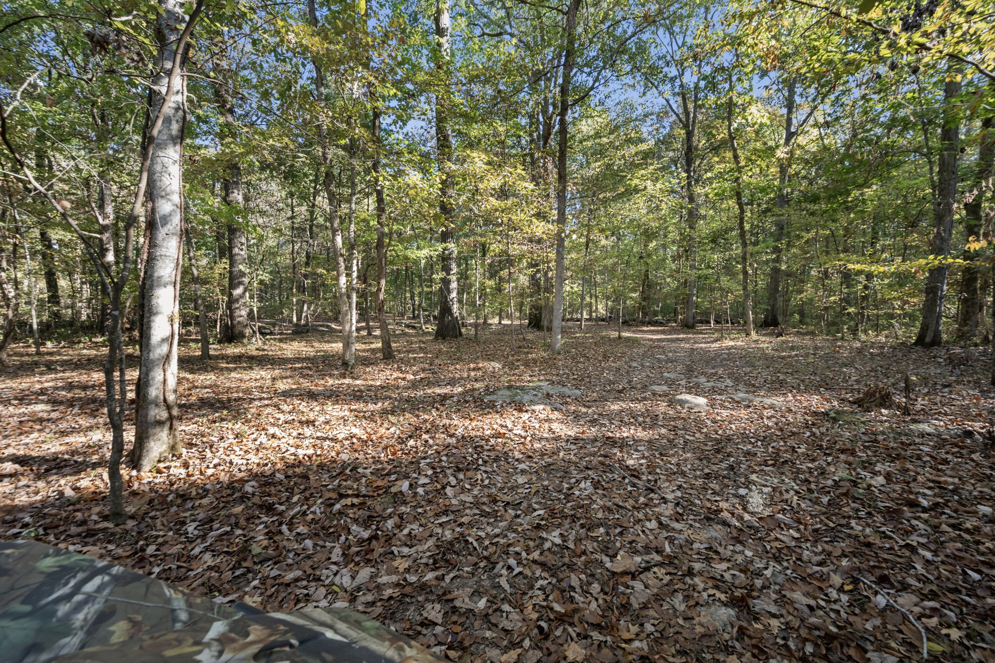 2399 Thompson Road Murfreesboro, TN 37128 - Photo 53 of 69 Gallery Image 53