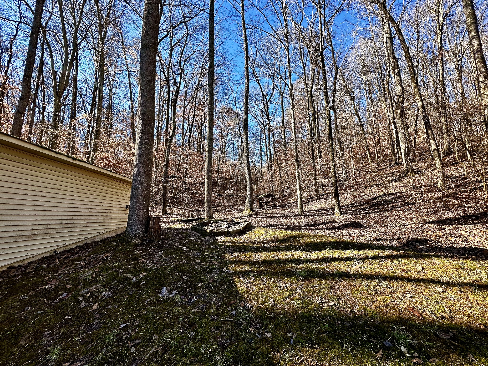 135 Haylee Road Waverly, TN 37185 - Photo 28 of 32 Gallery Image 28