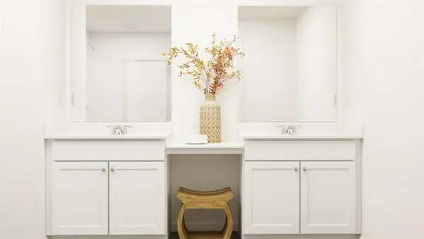 a bathroom with a sink a mirror and a potted plant