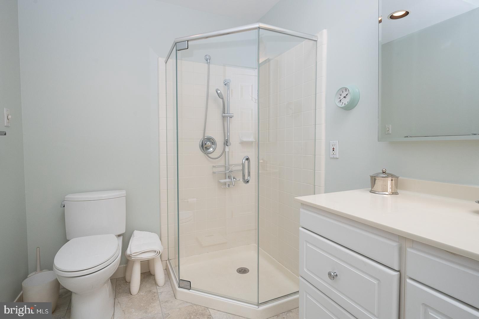 41 Greythorne Woods Circle Wayne, PA 19087 - Photo 20 of 31 Separate frameless glass shower
