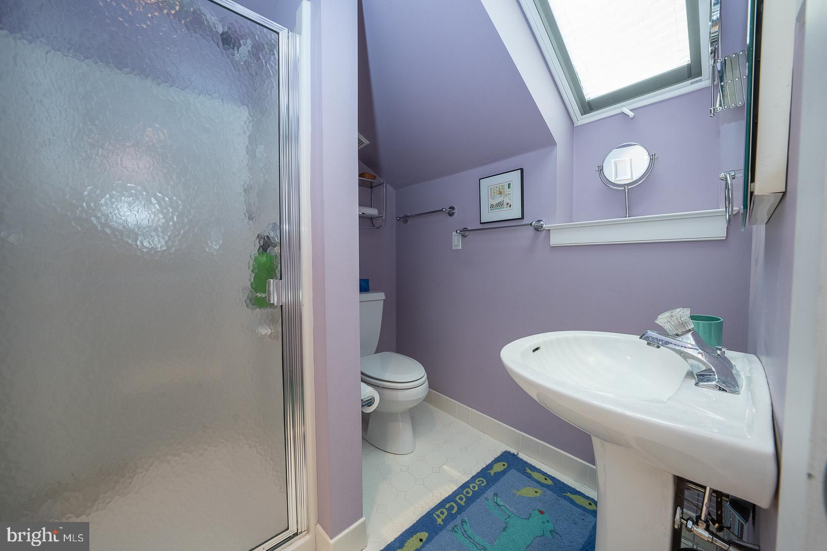 41 Greythorne Woods Circle Wayne, PA 19087 - Photo 27 of 31 3rd floor bathroom with skylight