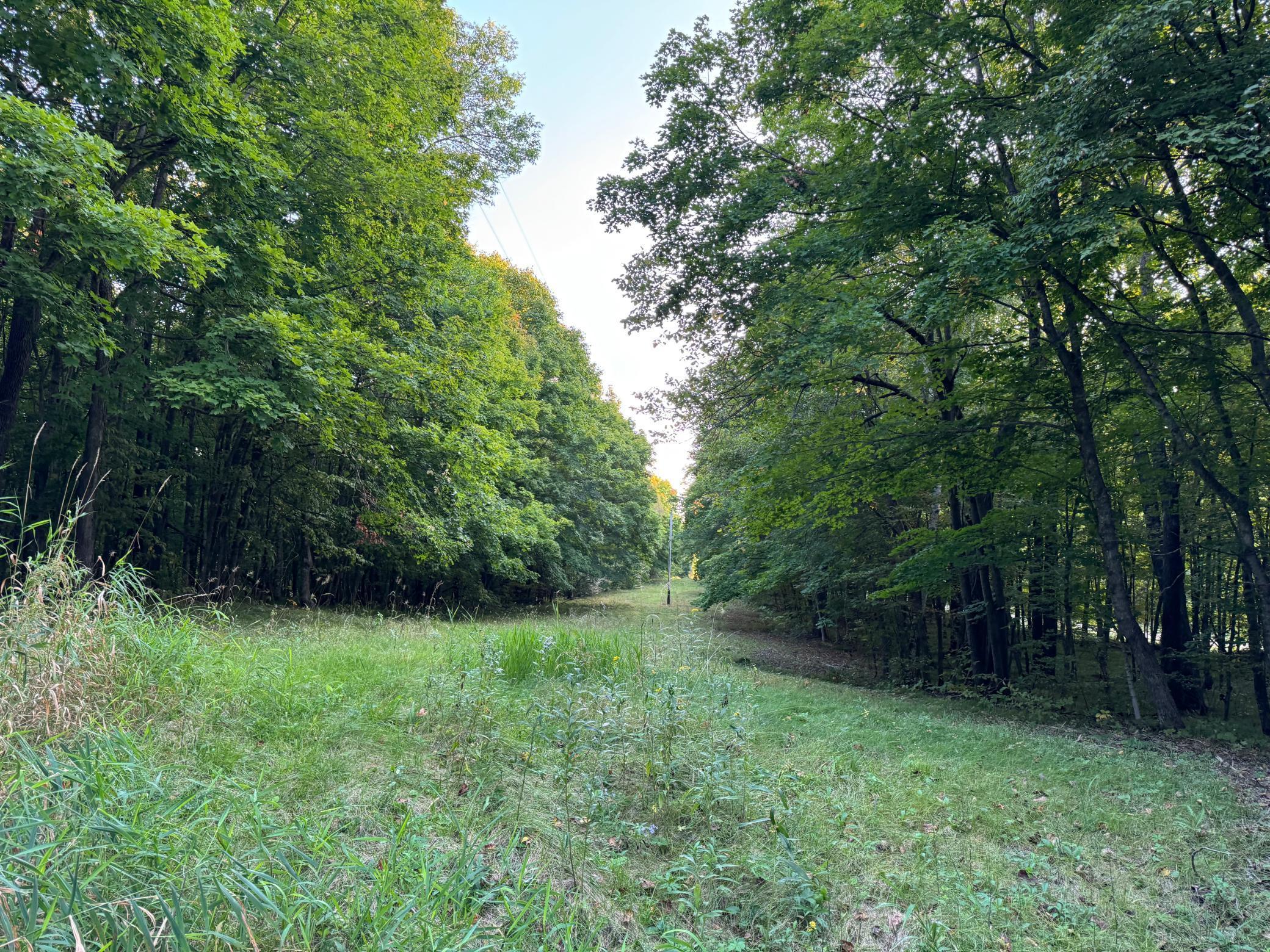 Lot 5-24612 Northeast Rock Lake Road Rochert, MN 56578 - Photo 21 of 41