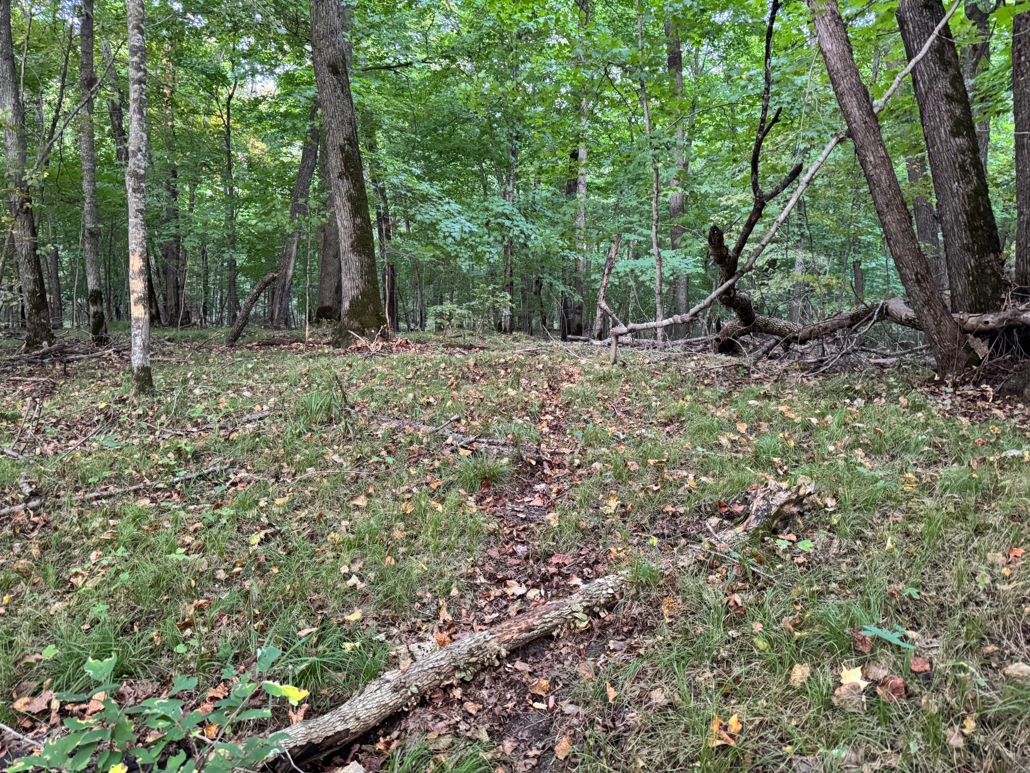 Lot 5-24612 Northeast Rock Lake Road Rochert, MN 56578 - Photo 23 of 41