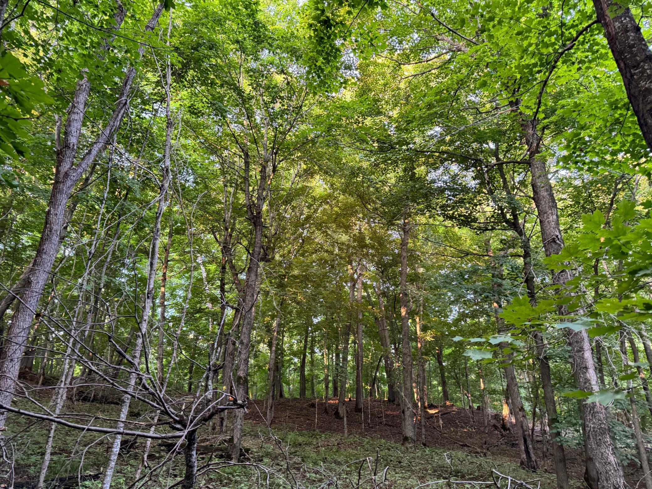 Lot 5-24612 Northeast Rock Lake Road Rochert, MN 56578 - Photo 25 of 41