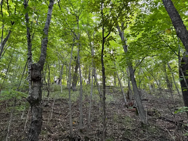 $126,000 | Lot 5-24612 Northeast Rock Lake Road, Rochert, MN 56578