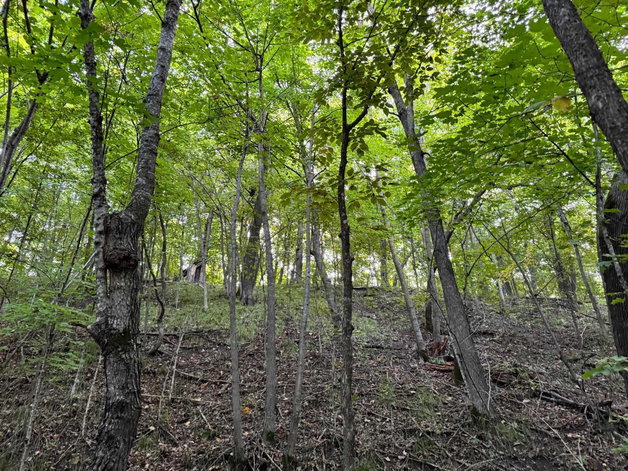 Lot 5-24612 Northeast Rock Lake Road Rochert, MN 56578 - Photo 32 of 41