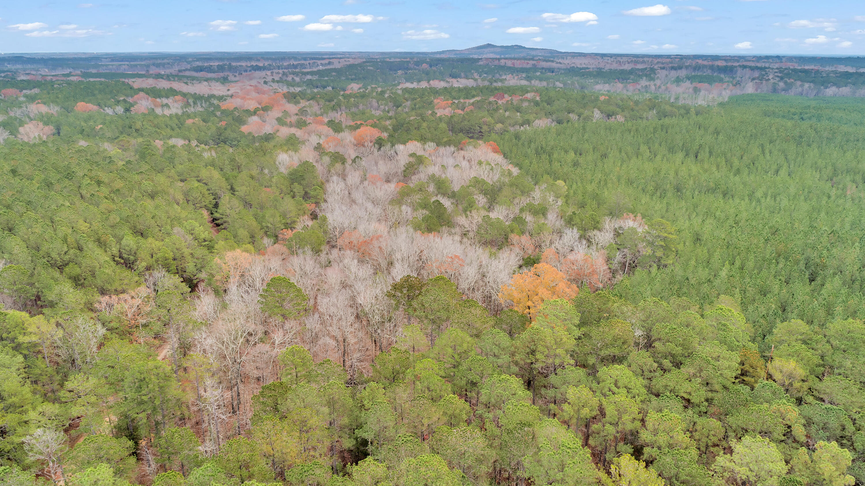 Lot 8 Saggus Road Washington, GA 30673 - Photo 17 of 42 Saggus Rd land 121-007A, 200ft View, Dro