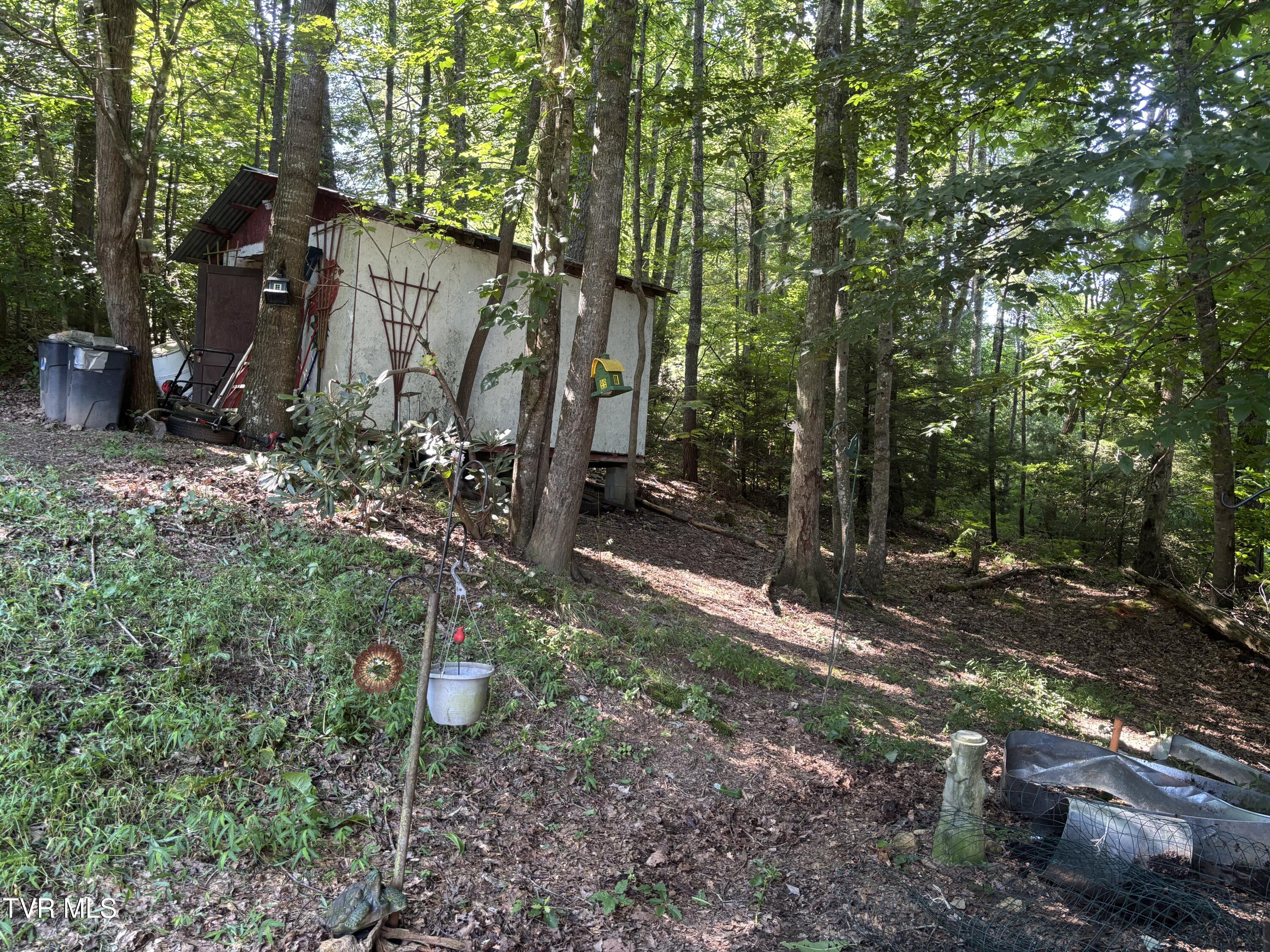 1481 Pleasant Valley Road Mountain City, TN 37683 - Photo 19 of 44 IMG_0650