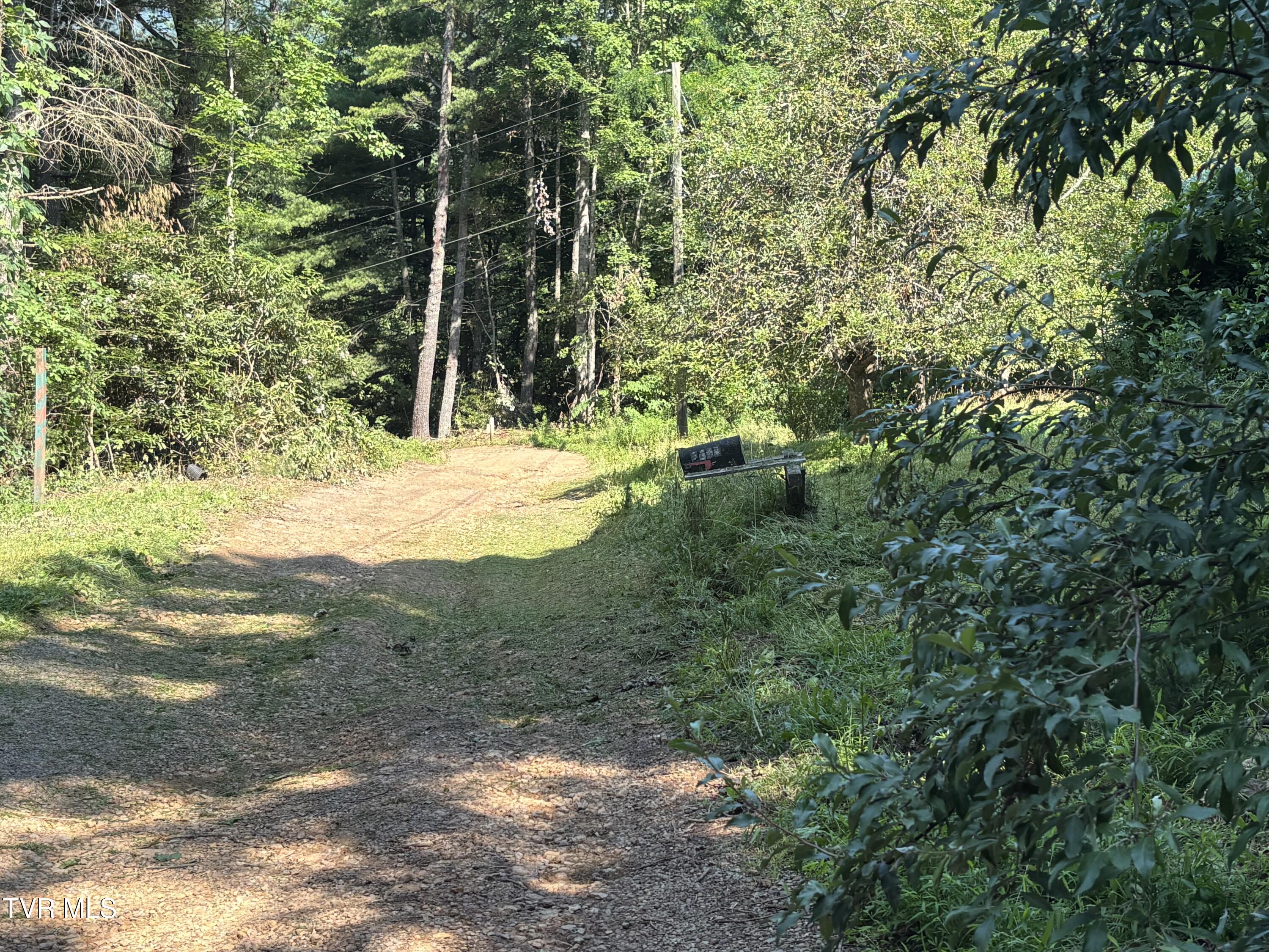 1481 Pleasant Valley Road Mountain City, TN 37683 - Photo 23 of 44 IMG_0652