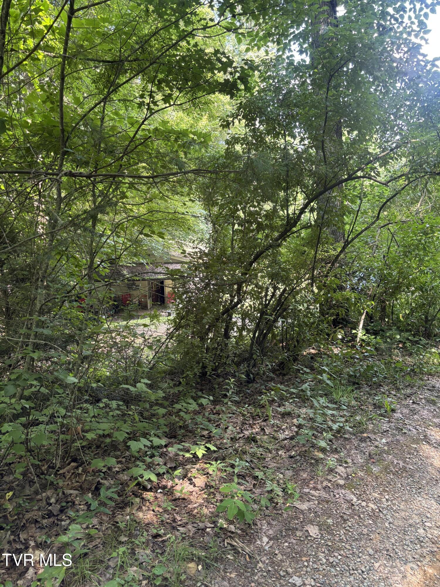 1481 Pleasant Valley Road Mountain City, TN 37683 - Photo 42 of 44 IMG_0676