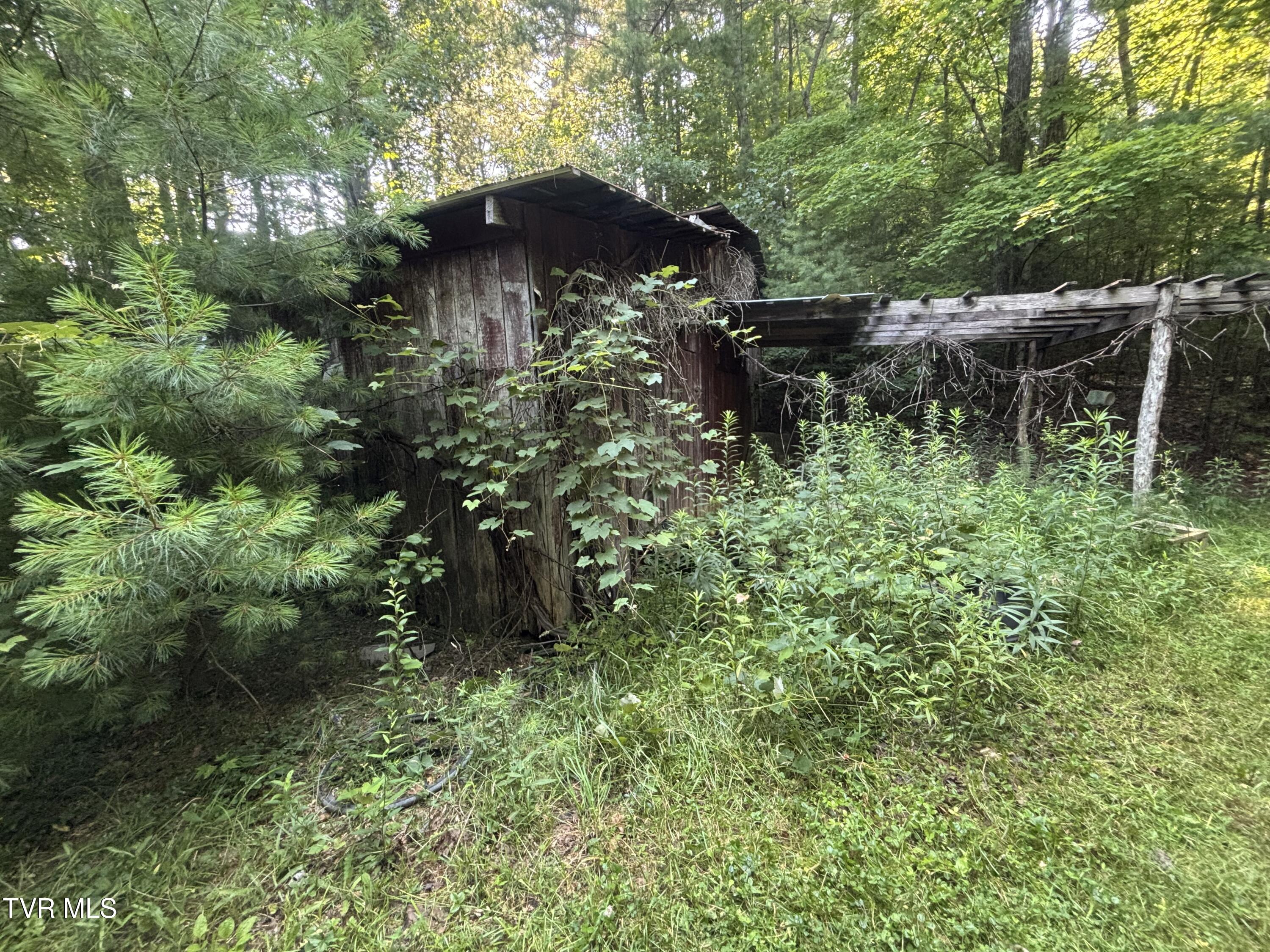 1481 Pleasant Valley Road Mountain City, TN 37683 - Photo 5 of 44 IMG_0633