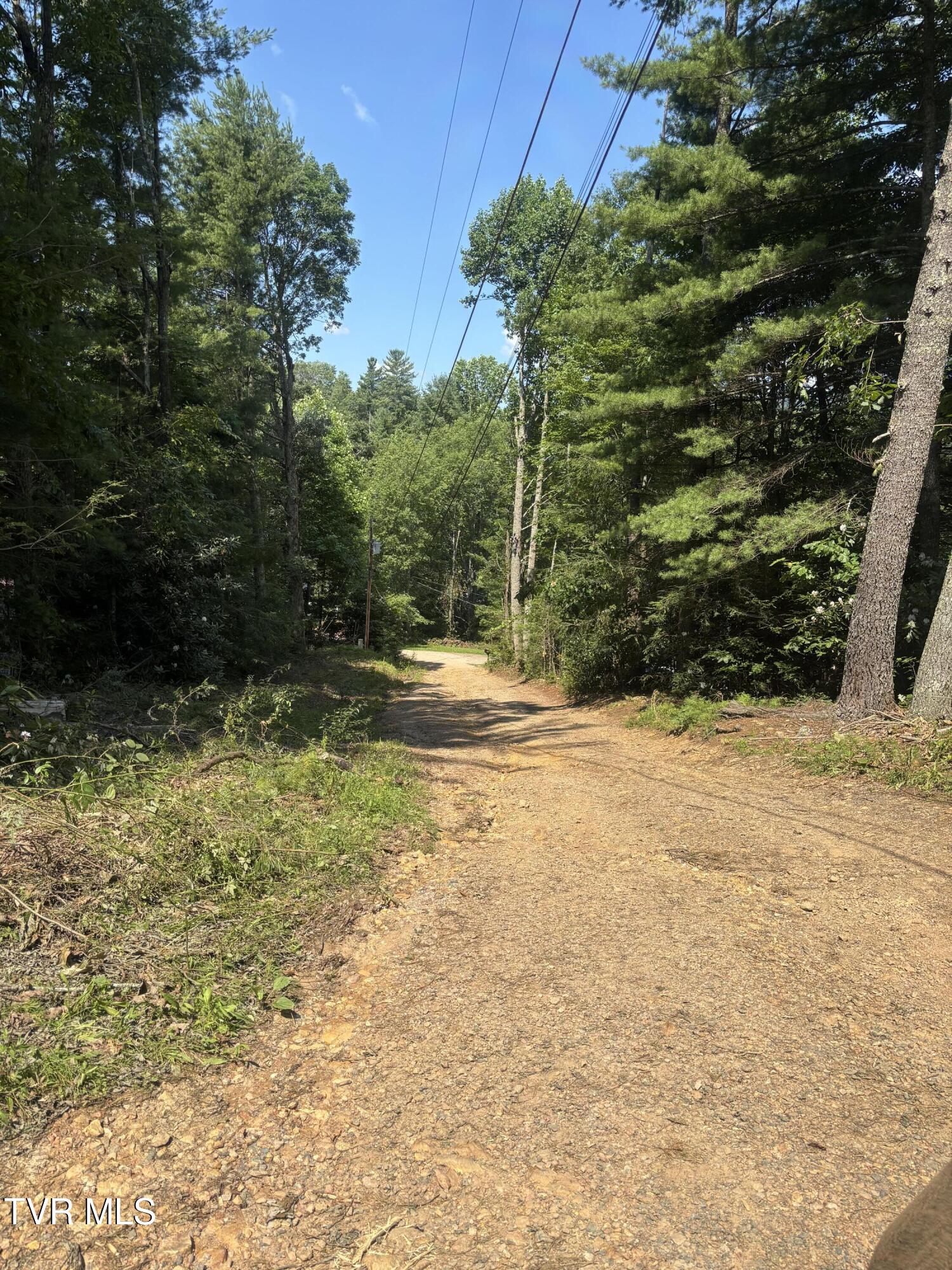 1481 Pleasant Valley Road Mountain City, TN 37683 - Photo 6 of 44 IMG_0681