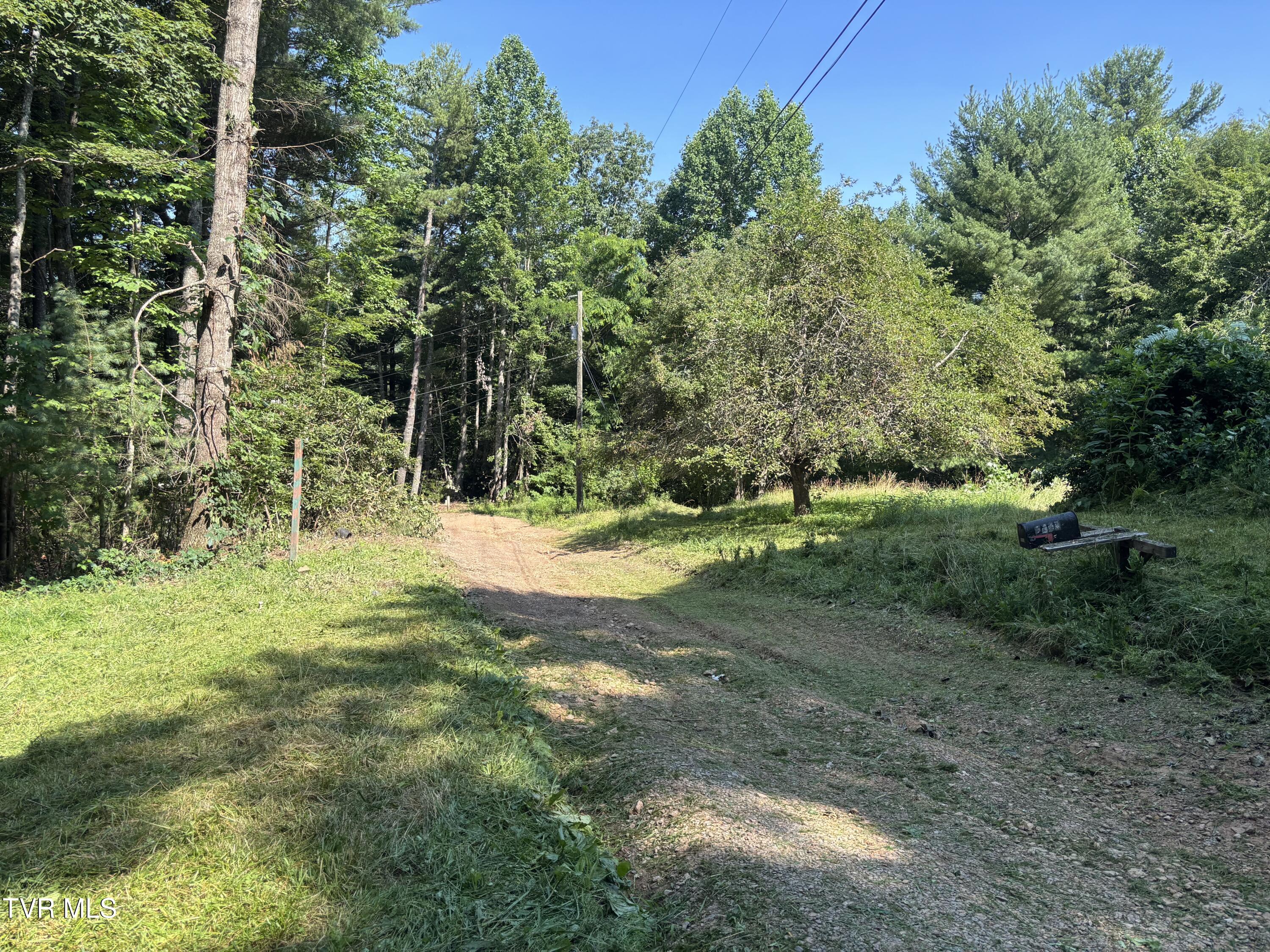 1481 Pleasant Valley Road Mountain City, TN 37683 - Photo 10 of 44 IMG_0643