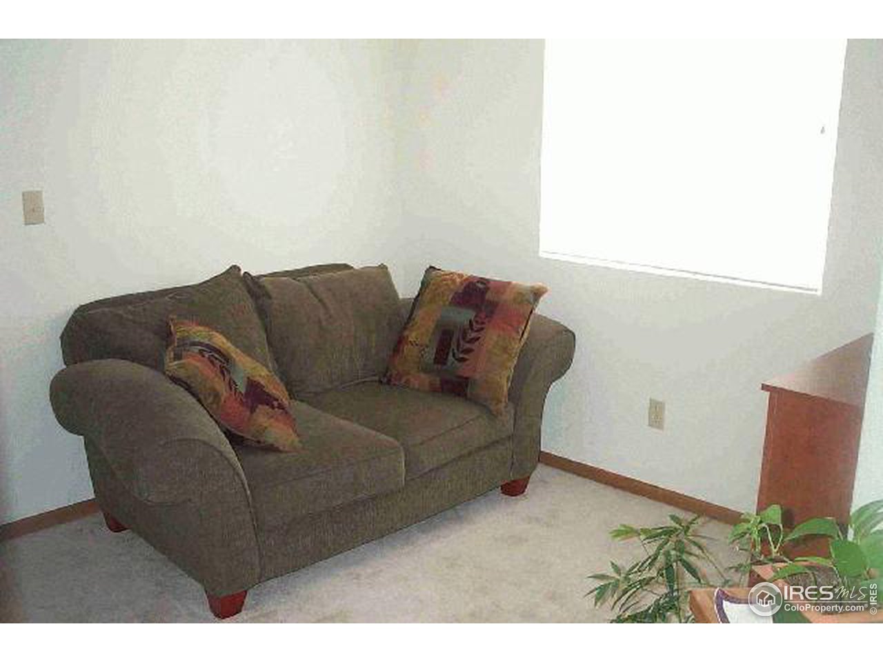 1269 Trail Ridge Road Longmont, CO 80504 - Photo 5 of 7 a living room with furniture and a potted plant